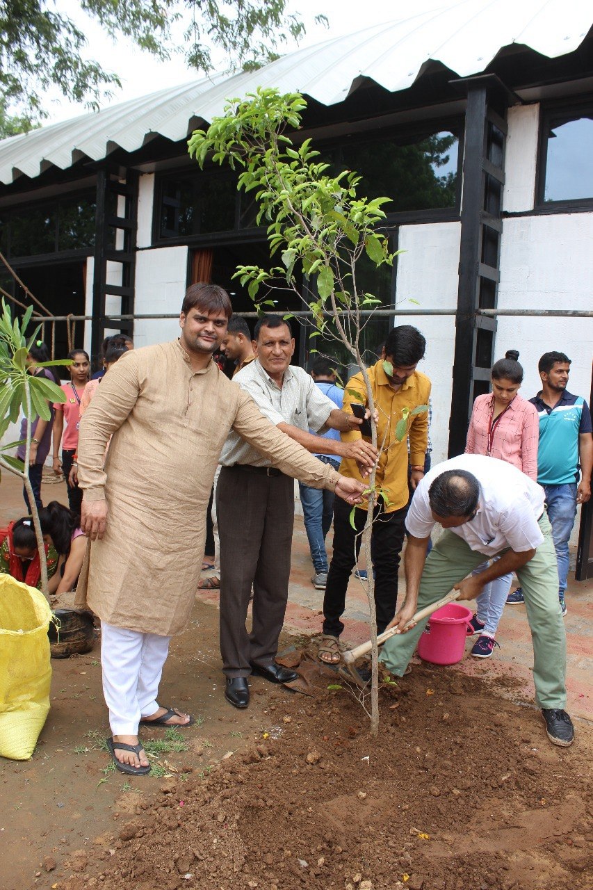 Tree Plantation — photo 11