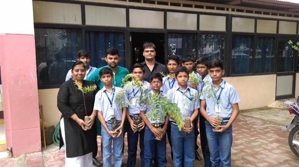 Tree Plantation — photo 13