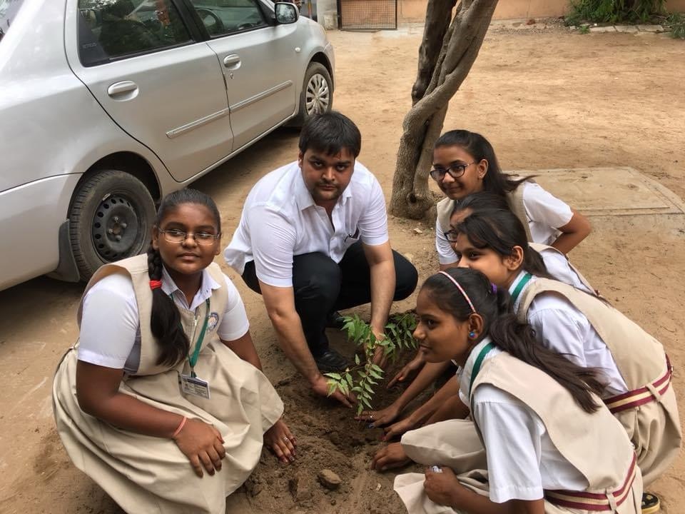 Tree Plantation — photo 14