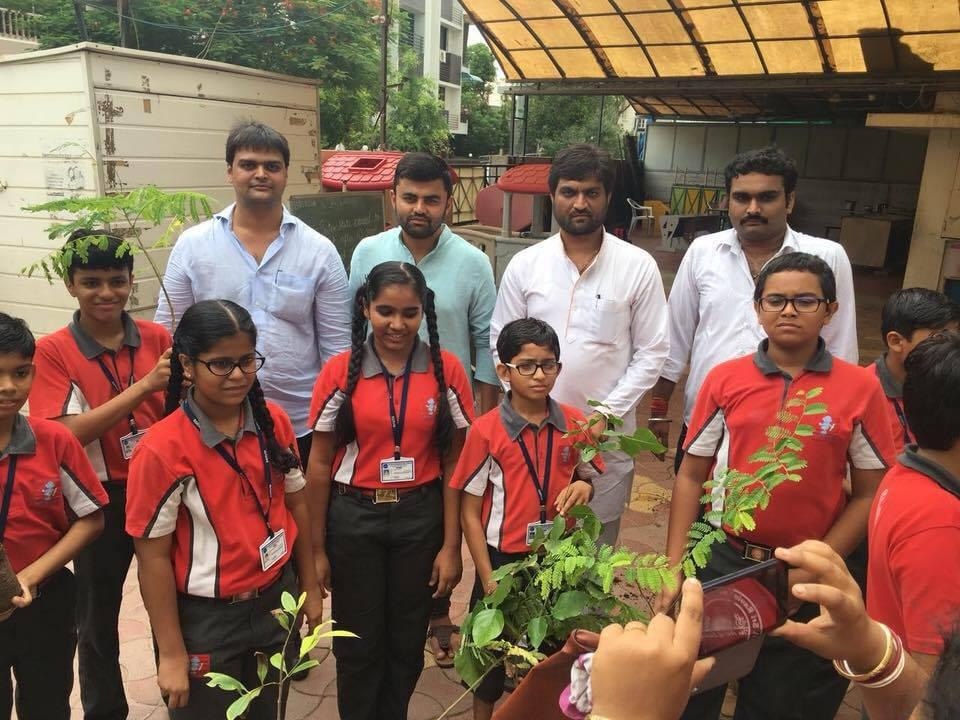 Tree Plantation — photo 15