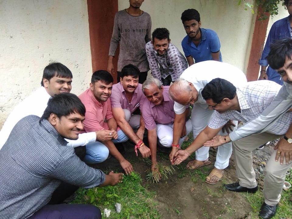 Tree Plantation — photo 18