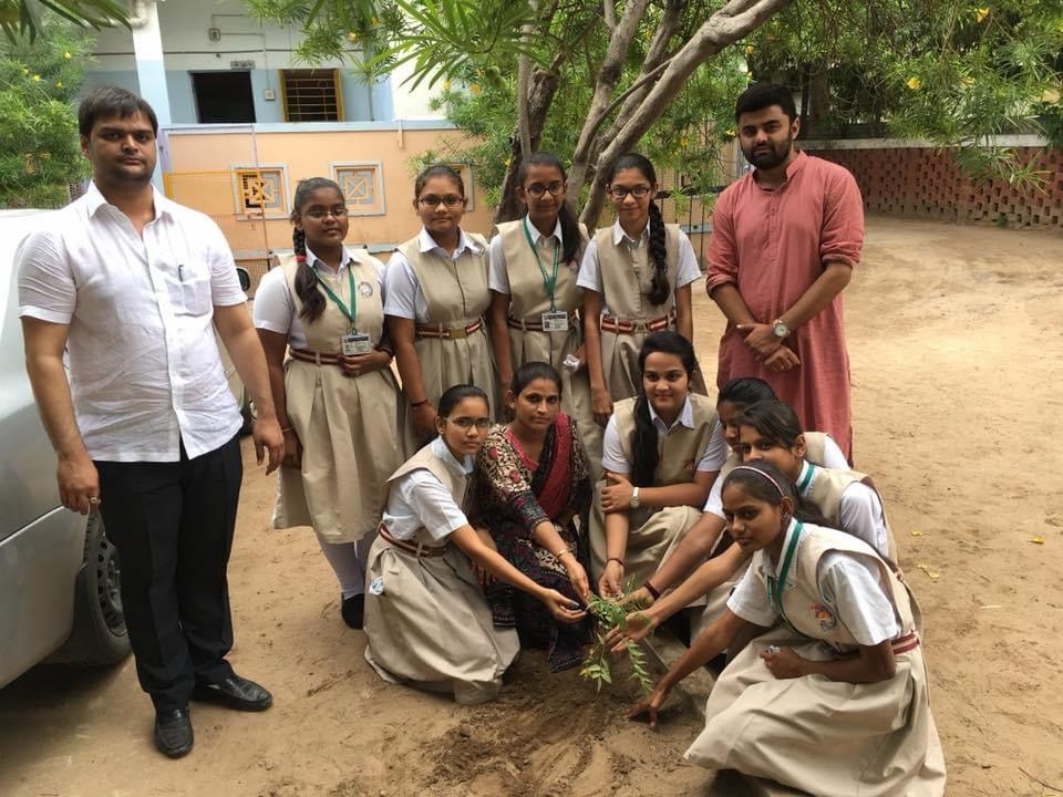 Tree Plantation — photo 19