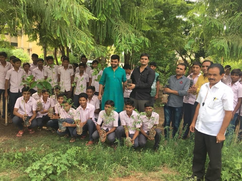 Tree Plantation — photo 20
