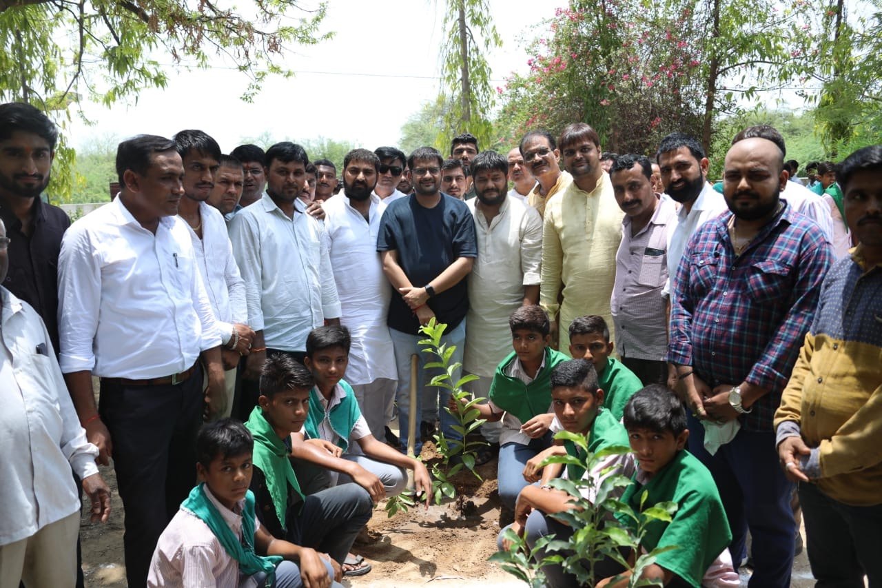 Tree Plantation — photo 3