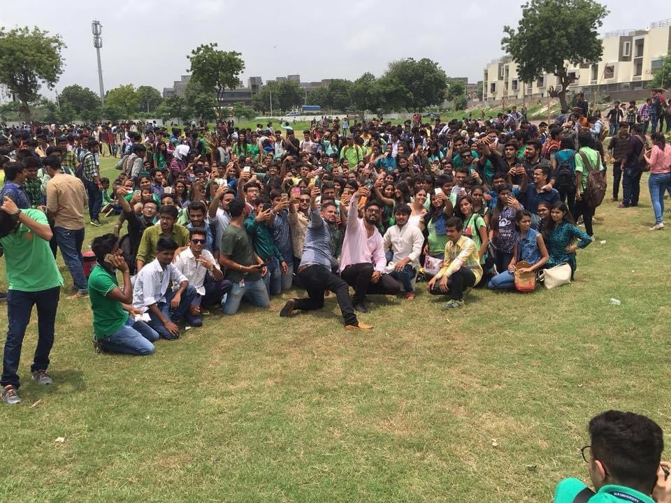 Tree Plantation — photo 21