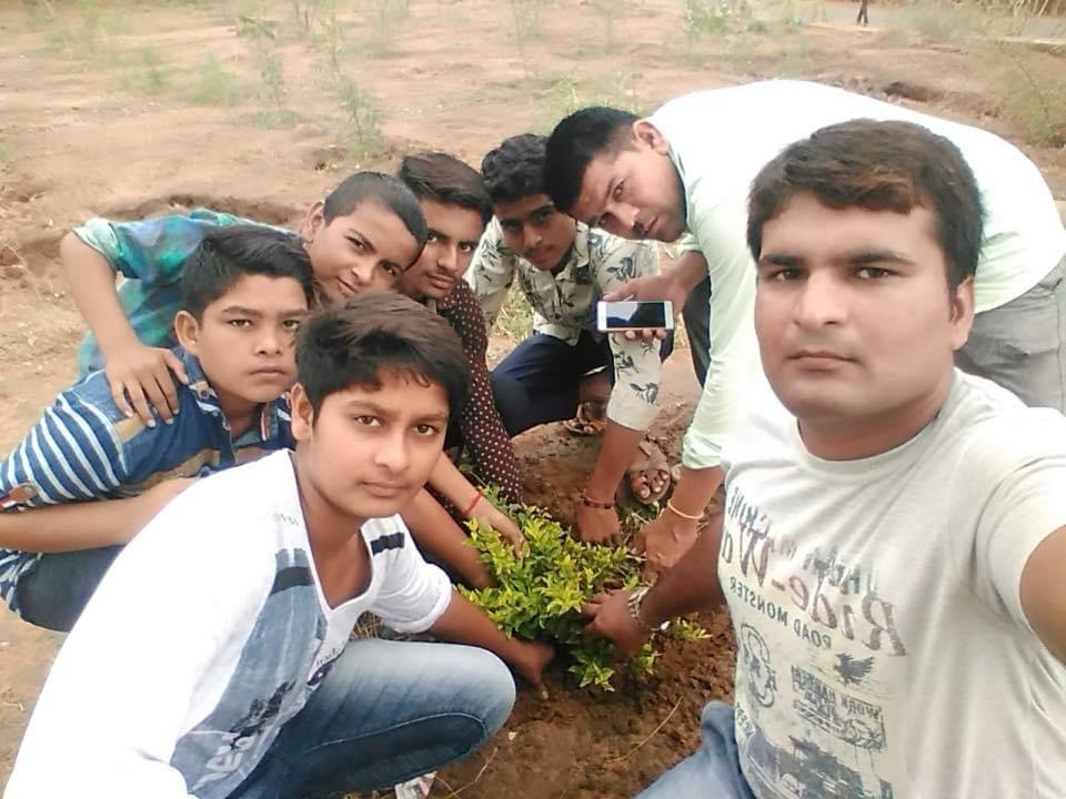 Tree Plantation — photo 22
