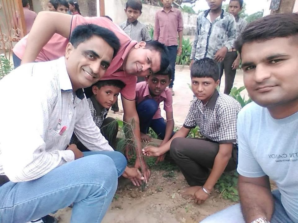 Tree Plantation — photo 24