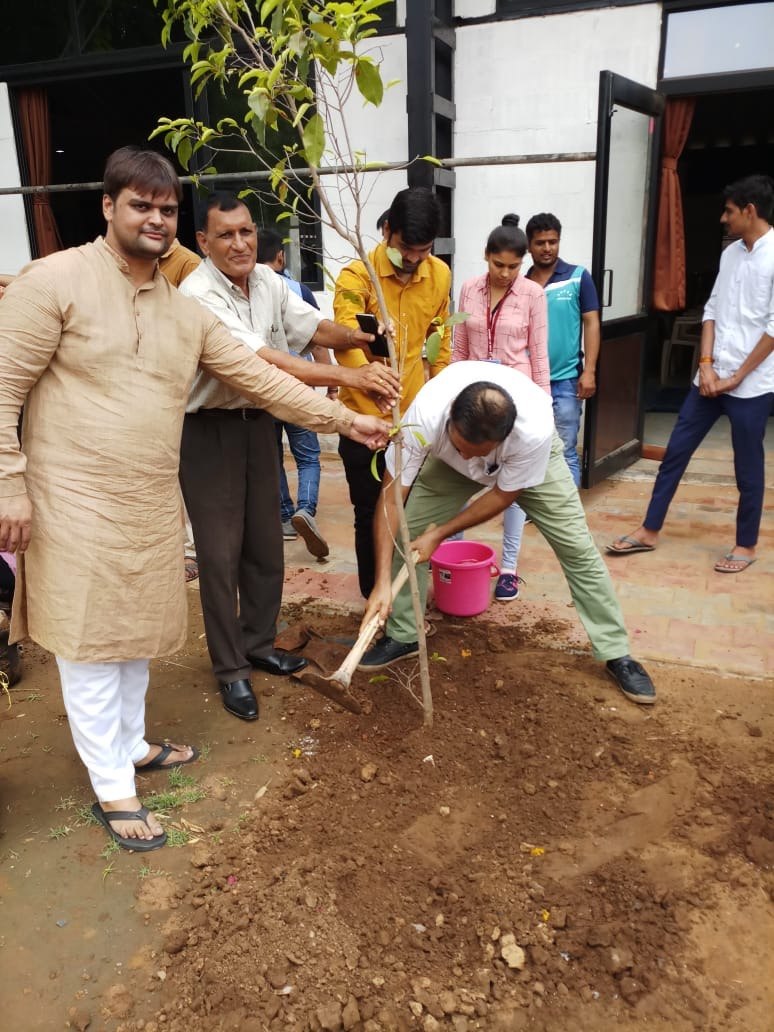 Tree Plantation — photo 4