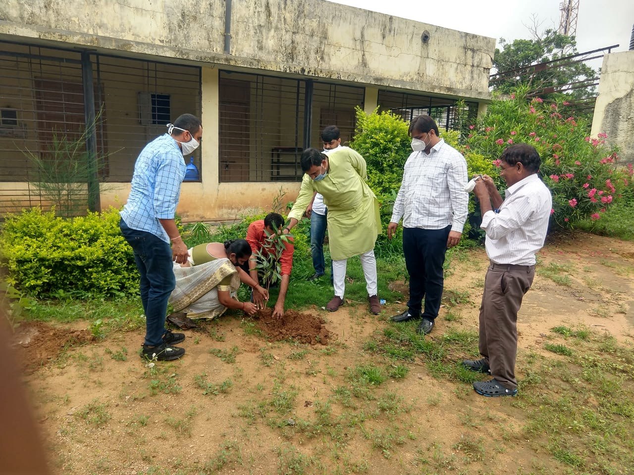 Tree Plantation — photo 6