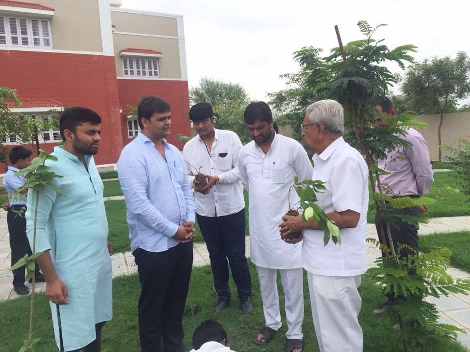 Tree Plantation — photo 7