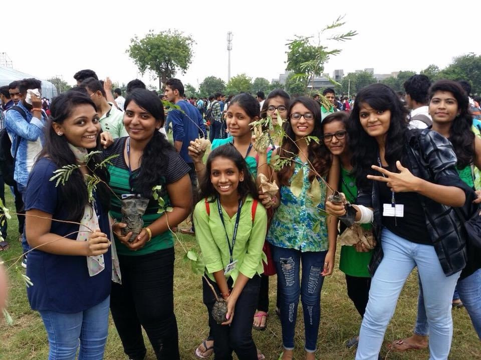 Tree Plantation — photo 9