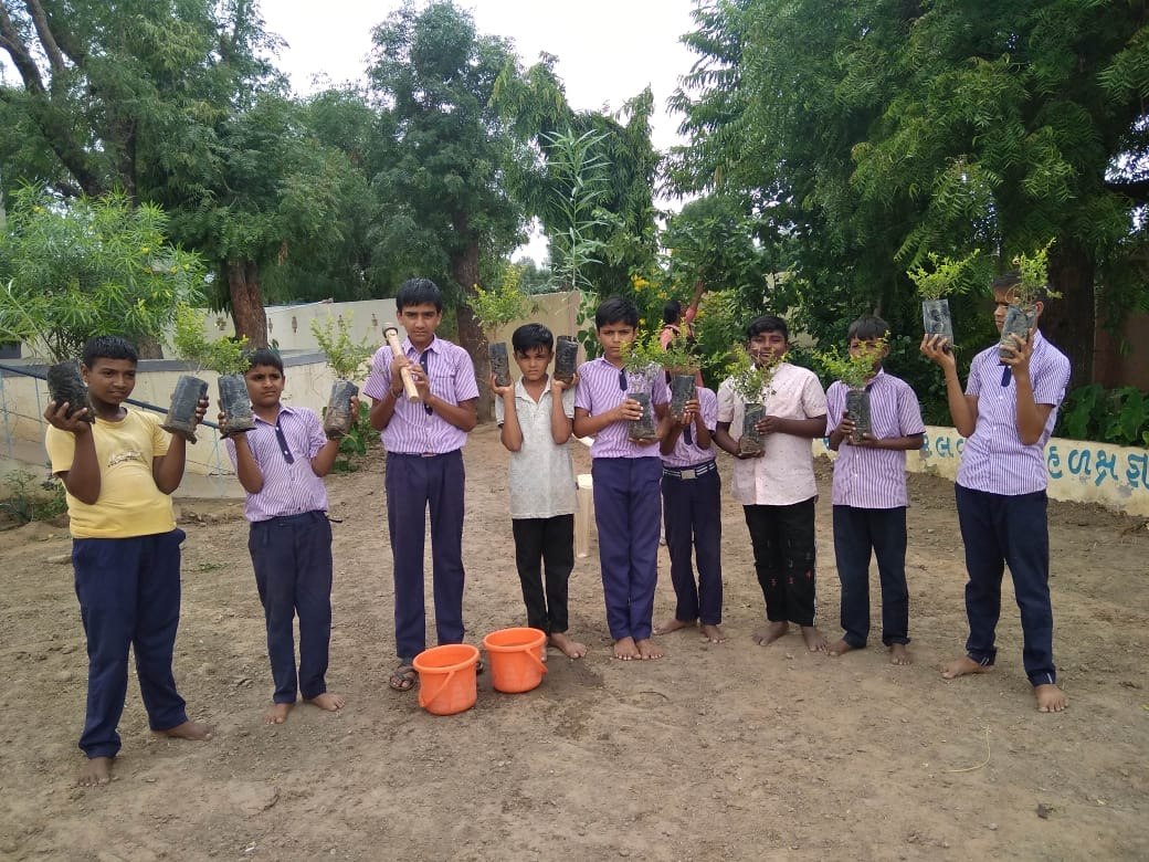 Tree Plantation — photo 10